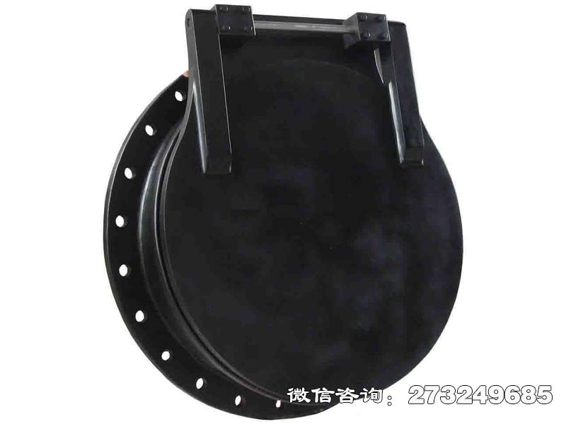 齐齐哈尔pgz铸铁拍门