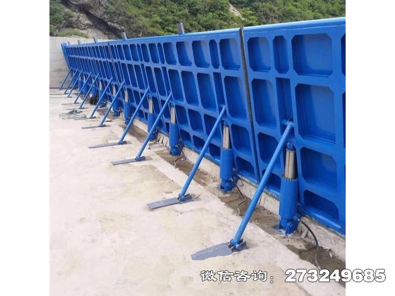 文县水利翻板闸门